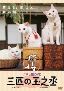 いやし猫DVD 猫侍 三匹の玉之丞 レンタル落ち 中古 DVD