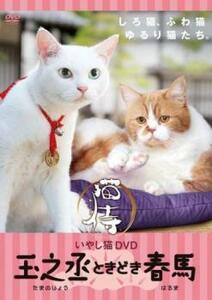 いやし猫DVD 猫侍 玉之丞ときどき春馬 レンタル落ち 中古 DVD