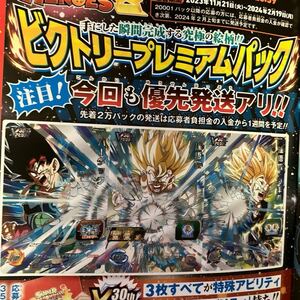 Vジャンプ1月号 応募者全員サービス スーパードラゴンボールヒーローズ ビクトリープレミアムパック コード