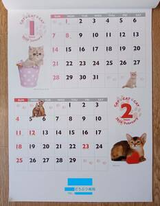 2024年(令和6年)★かわいい 猫のカレンダー★2ヵ月ごと★壁掛け★CAT・CAT・CAT CALENDAR★ネコ★キュート