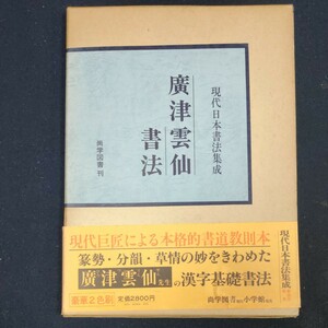 現代日本書法集成『廣津雲仙書法』定価2,800円 尚学図書　