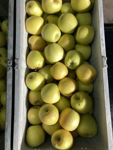 青森から減農薬りんごはるか１０キロ