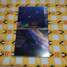 Aimer/花の唄/ONE/六等星の夜 Magic Blue 春はゆく/marie 「Fate/stay night [Heaven’s Feel] 主題歌 CD 送料無料_画像4