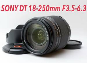 ★SONY DT 18-250mm★美品●純正高倍率レンズ 1ヶ月動作補償あり！