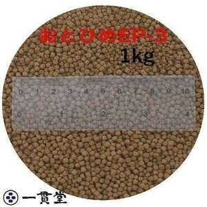 おとひめEP3(約2.9～約3.3mm) 1kg(500g×2袋) 沈降性(沈下性) 日清丸紅飼料 金魚 アロワナ 肉食魚に