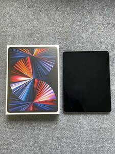 iPad Pro 12.9インチ 512GB 第5世代 Wi-Fiモデル スペースグレイ 美品