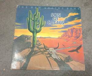 The New Cactus Band 1 lp.