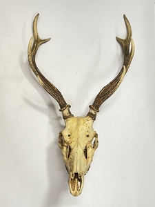 ● コレクター必見 鹿の角 頭蓋骨付き ハンティングトロフィー 壁飾り 鹿 角 飾り 標本 インテリア オブジェ tk381