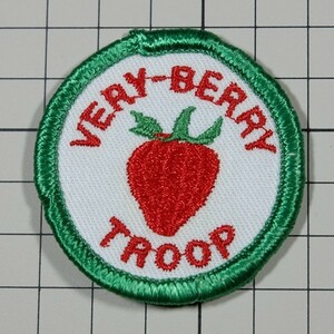 MH199 果物 刺繍 丸形 ワッペン パッチ ロゴ VERY BERRY TROOP