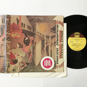 US ORIG LP■Stevie Wonder■Fulfillingness' First Finale■Tamla レコード美品 アメリカ盤 オリジナル ステレオ【試聴できます】