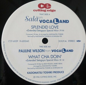 12inch【SALA from VOCALAND / SPLENDID LOVE】AA- pauline wilson / what cha doin, 12インチ シングル 1996 avex 角松敏生 R&B JPN盤 