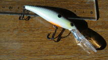 デュエル Yo-Zuri 3DミノーSP 3D Minnow ①_画像2