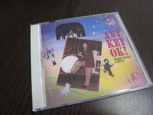 保坂俊雄 & イルカ CD『エニー・キー・OK !』