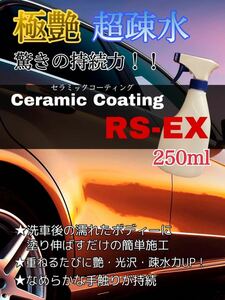 超持続！極艶セラミックコーティング剤RS-EX 250ml 車用 洗車 ワックス 簡単コーティング