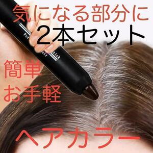 2本セット 送料無料 ヘアカラー ブラウン 簡単お手軽 部分染め 白髪染 ヘアケア カラーリング