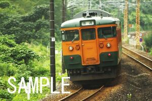 115系　信越本線【鉄道写真11594】KGサイズ☆