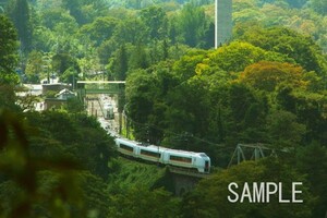 651系「草津」 【鉄道写真65131】KGサイズ☆