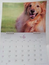 2024年犬の壁掛けカレンダー_画像7