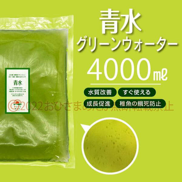 すぐ使える【青水　グリーンウォーター　4000ml】メダカ　めだか　金魚　熱帯魚　ミジンコ　ゾウリムシ　針子にどうぞ　スポイト付き