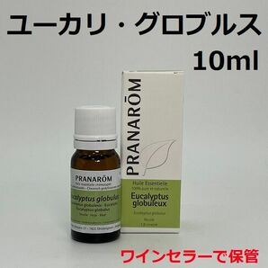 プラナロム ユーカリグロブルス 10ml PRANAROM グロビュルス