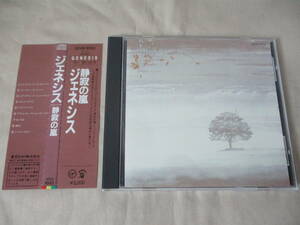 GENESIS Wind And Wuthering(静寂の嵐) ‘86(original ’76) 国内帯付初回盤 32VD-1033 マトリックス”1A1 TO” 