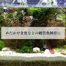 【原液】秀玄 光合成細菌 PSB 原液 20リットル農業 畜産 メダカなど観賞魚飼育に_画像8