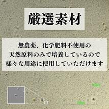 【原液】秀玄 光合成細菌 PSB 原液 20リットル農業 畜産 メダカなど観賞魚飼育に_画像3