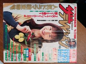 ザ・テレビジョン　１９９４年１２月２３日　首都圏関東版　山口智子　傷みあります