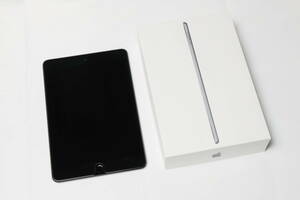 Apple iPad mini5 第5世代 256GB スペースグレイ Wi-Fi+Cellular SIMフリー