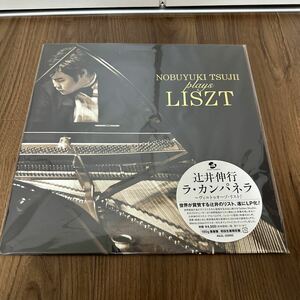 美品希少180g重量盤ハイプステッカー付LP!! 辻井伸行 NOBUYUKI TSUJII リスト LISZT ラ・カンパネラ AVJL-25895 レコード クラシック