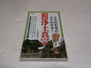 うちのお寺がよくわかる!図解 浄土真宗 (新書y)