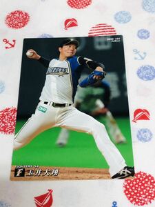 カルビー Calbee プロ野球カード 日本ハムファイターズ 玉井大翔