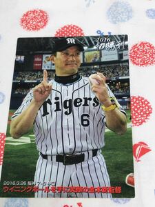  Calbee Calbee Professional Baseball card Hanshin Tigers gold book@..