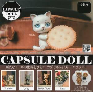 ◇-□　[ 即決 ]　CAPSULE DOLL　カプセル ドール　猫　( 全５種セット )