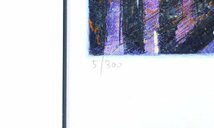 【真作】【WISH】ギィ・デサップ Guy Dessapt「ヴェニス」シルクスクリーン 20号大 大作 直筆サイン 　　〇フランス人気画家 #23102449_画像7
