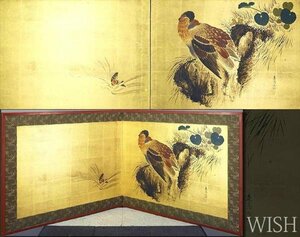 【真作】【WISH】柴田是真 日本画 約20号 大作 金箔仕様 二枚折屏風 鳥図 　　〇帝室技芸員 漆芸家として著名 重要文化財級 #23082688