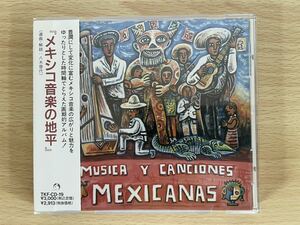 D4/メキシコ音楽の地平