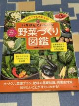 はじめてでも失敗しない！いちばんていねいな野菜づくり図鑑 加藤義貴／監修 ナツメ社 一番丁寧な野菜作り図鑑_画像1