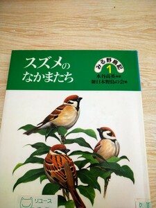 スズメのなかまたち　みる野鳥記１ 水谷高英　絵　日本野鳥の会　編　あすなろ書房　図書館廃棄本