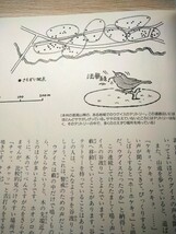 ウグイスのなかまたち　みる野鳥記１９ 水谷高英・絵　日本野鳥の会・編　あすなろ書房　図書館廃棄本_画像3