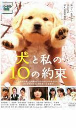 犬と私の10の約束 レンタル落ち 中古 DVD