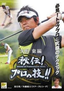 Golf Secret Professional Technical Yano Higashi Edition использовал DVD