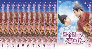 皇帝陛下の恋わずらい The King Is in Love 全12枚 シーズン1、2【字幕】 レンタル落ち 全巻セット 中古 DVD 海外ドラマ