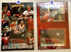  volleyball man . Japan representative dragon god NIPPON 2023 original frame stamp set postage / click post 185 jpy 