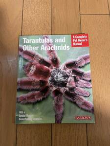 希少！洋書！Tarantulas and Other Arachnids タランチュラ図鑑&飼育方法　BOOK