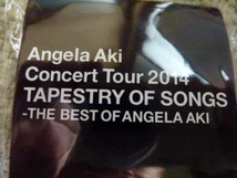 未使用　Angela　Aki　アンジェラ　アキ　コンサートツアー2014　TAPESTRY　OF SONGS めがねキーホルダー _画像4