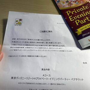 東京ディズニーリゾートプライベート・イブニングパーティー ペアチケット