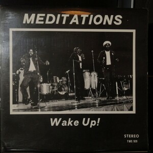  LP レゲエ MEDITATIONS - Wake Up / THIRD WORLD (UK) 再生確認済