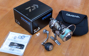 17 ソルティガ BJ スピニングモデル 4000SH SALTIGA スピニング ダイワ(DAIWA) 青物ジギング ブリ ヒラマサ キャスティング サワラ