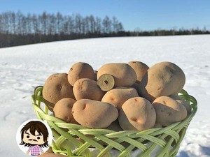 インカのめざめ　２０Ｋｇ　５７００円　送料込み　